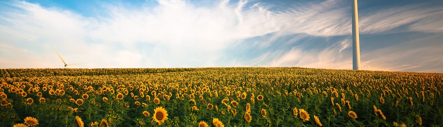 sustentarse_La ecoeficiencia empresarial en la creación de valor compartido.