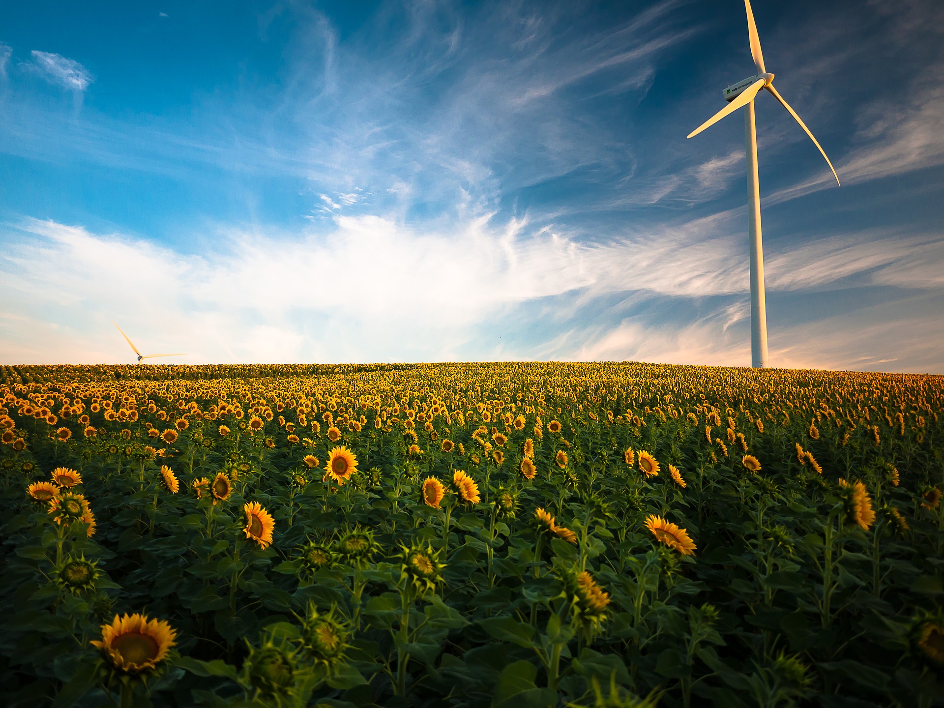 sustentarse_La ecoeficiencia empresarial en la creación de valor compartido.