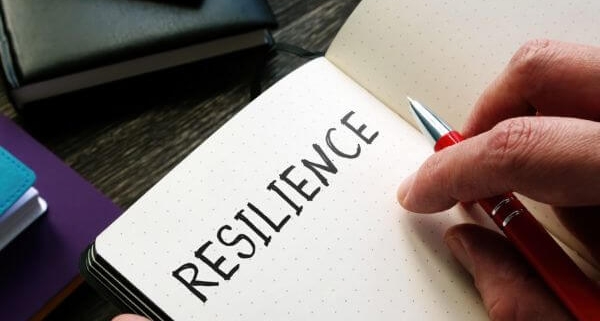 sustentarse_La-resiliencia-en-las-organizaciones