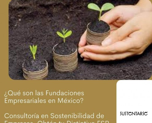 Sustentarse_Qúe son las fundaciones empresariales en México
