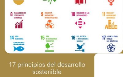 Sustentarse_17 principios de desarrollo sostenible