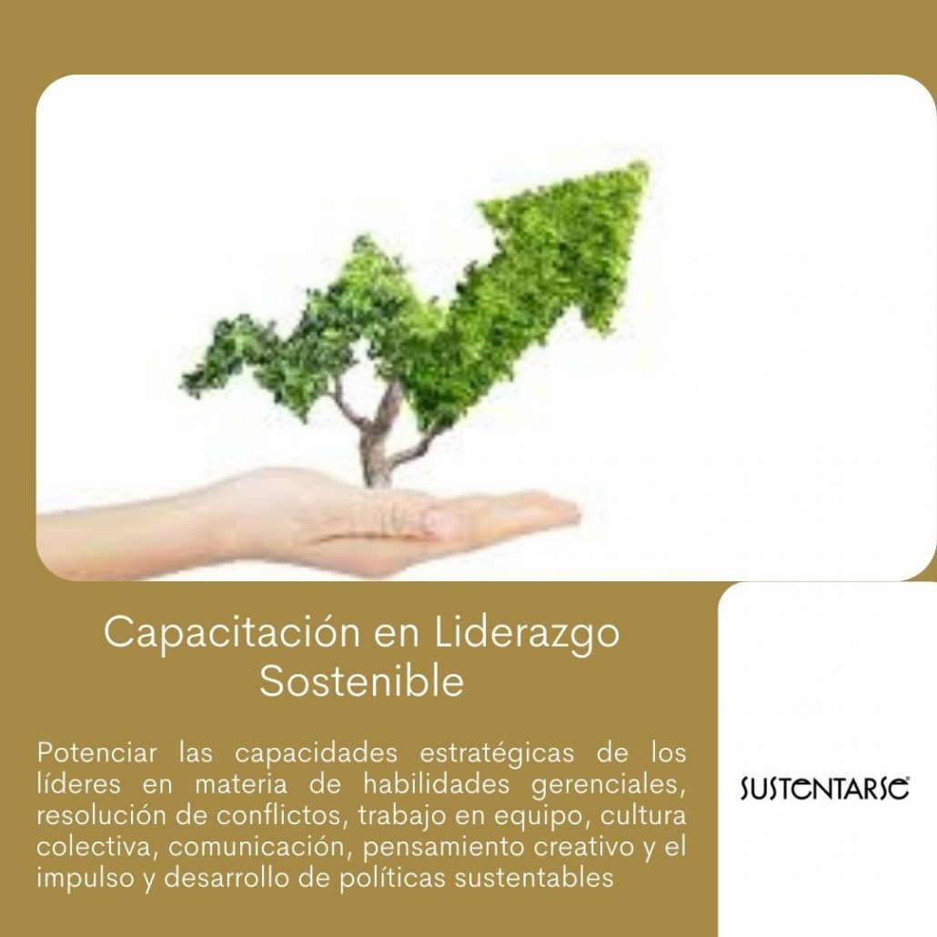 Sustentarse_Liderazgo sostenible