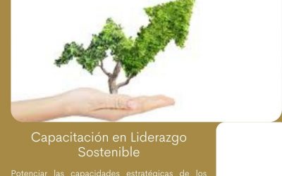 Sustentarse_Liderazgo sostenible