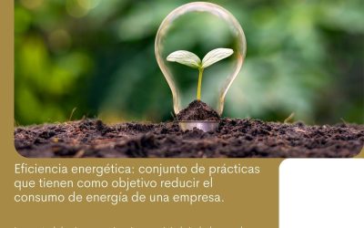 Sustentarse_Eficiencia energética conjunto de prácticas que tienen como objetivo reducir el consumo de energía de una empresa.