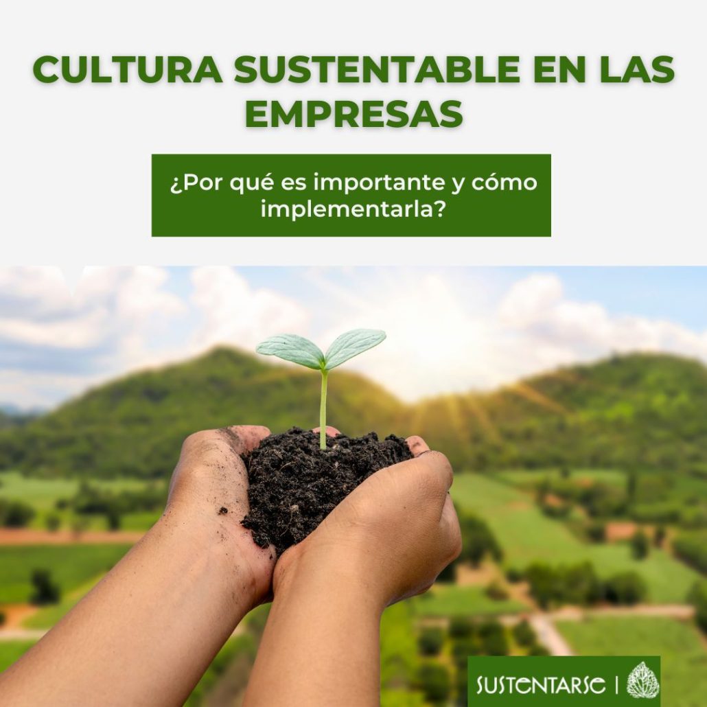 sustentarse_ Cultura sustentable en las empresas