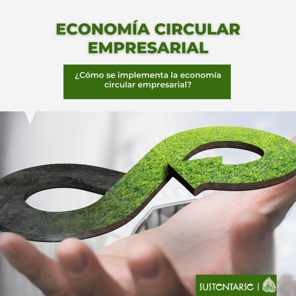 sustentarse_ Economía circular empresarial