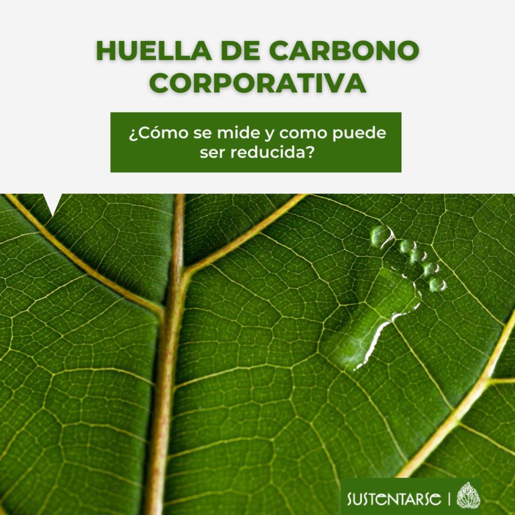 sustentarse_ Huella de carbono corporativa