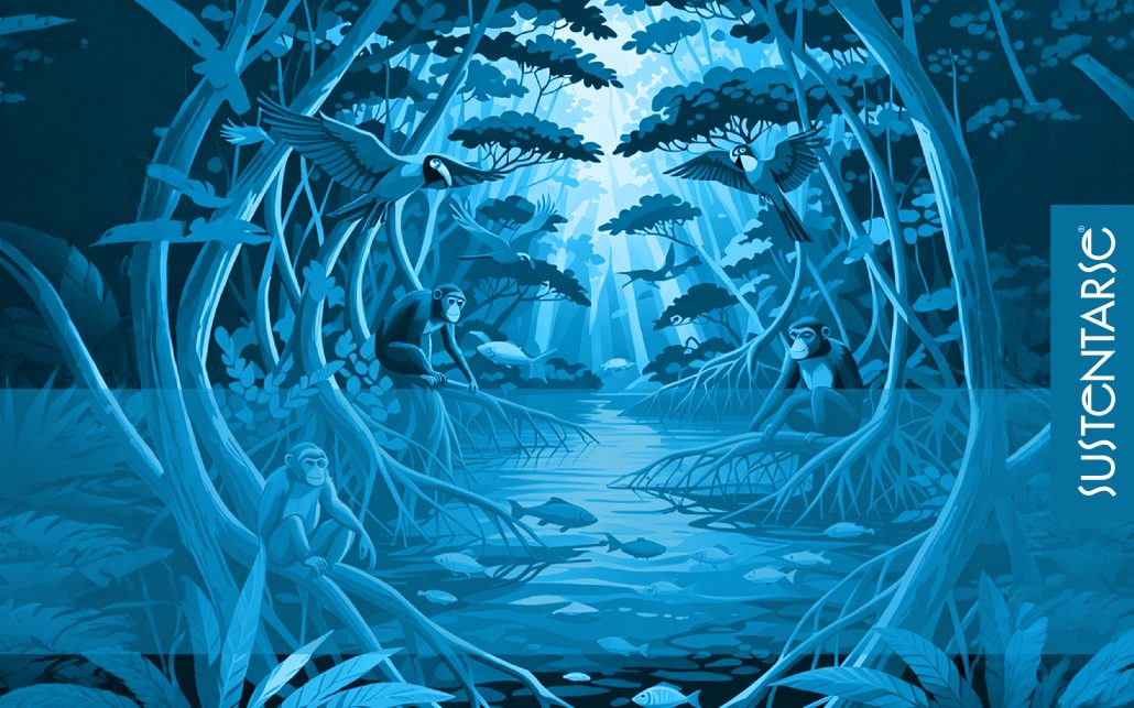 Sustentarse_Manglares Vivos, Costas Seguras: Una Lucha por Conservarlos.