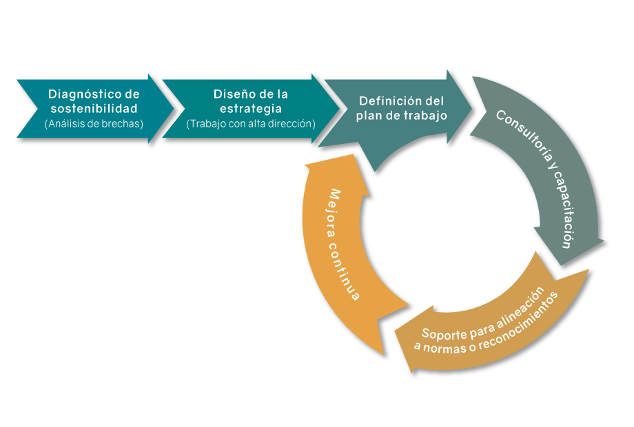 01_Infografia_Estrategias-de-Sostenibilidad-y-Responsabilidad-Social Estrategias de Sostenibilidad y Responsabilidad Social Sustentarse