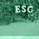 Sustentarse_Criterios ESG: ¿Moda pasajera o la única forma de sobrevivir en el mercado actual?