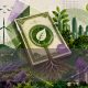 sustentarse_bonosverdes